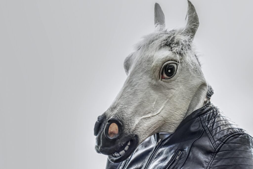A humorous portrait of a person wearing a horse mask and a black leather jacket.